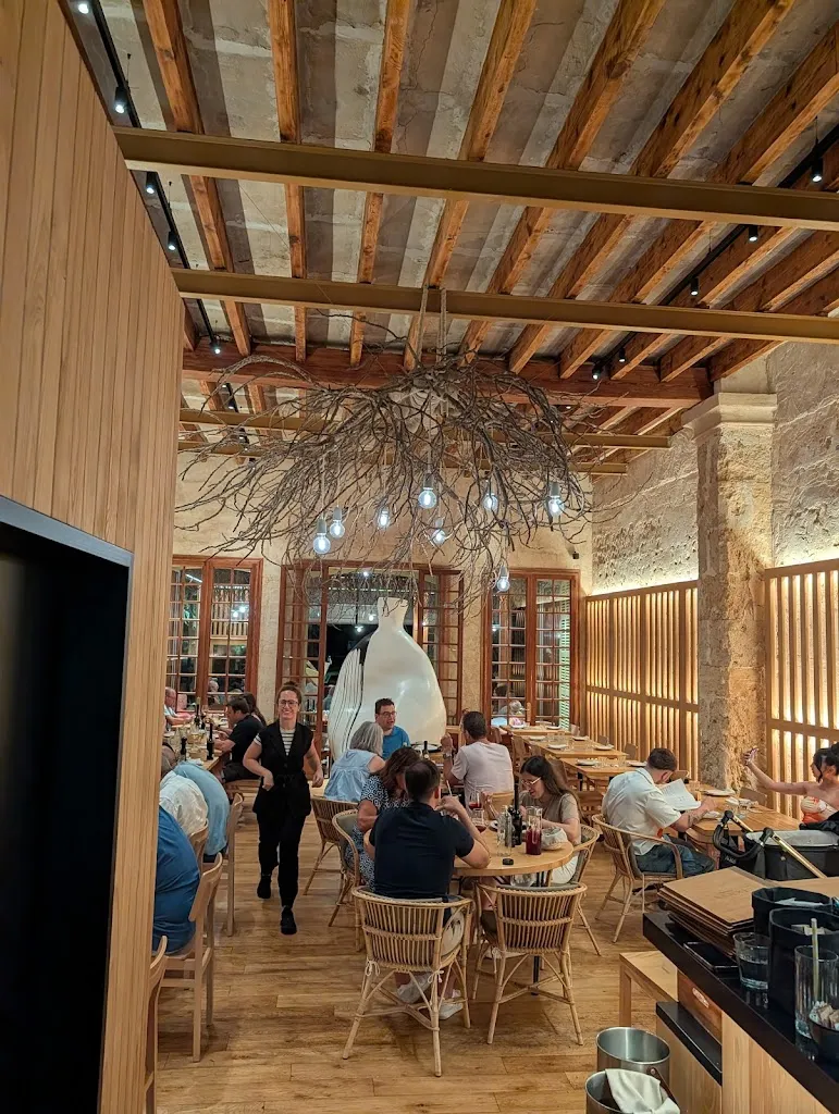 Lance Chou_Bocoi Portocolom_Portocolom_review