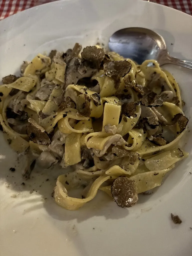 Tim Meijster_La Trencadora_Pollença_review