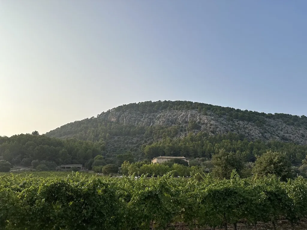 Julia K._365 Restaurante - Son Brull Hotel & Spa_Pollença_review