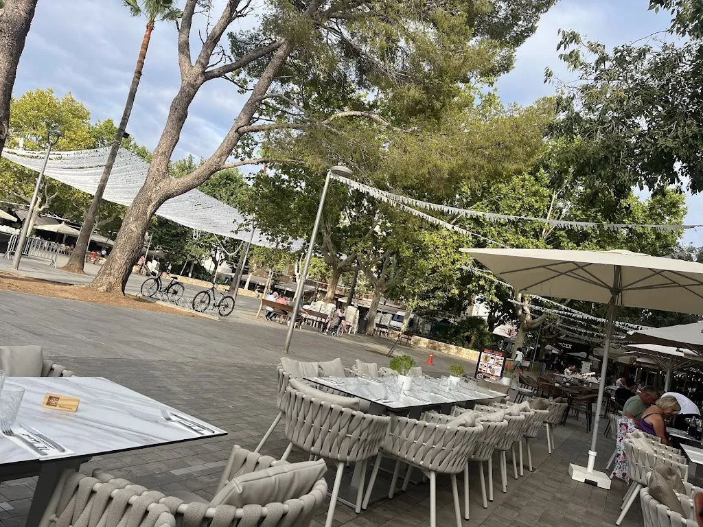 Il Tano Port de Pollença_Port de Pollença_slider_image_1