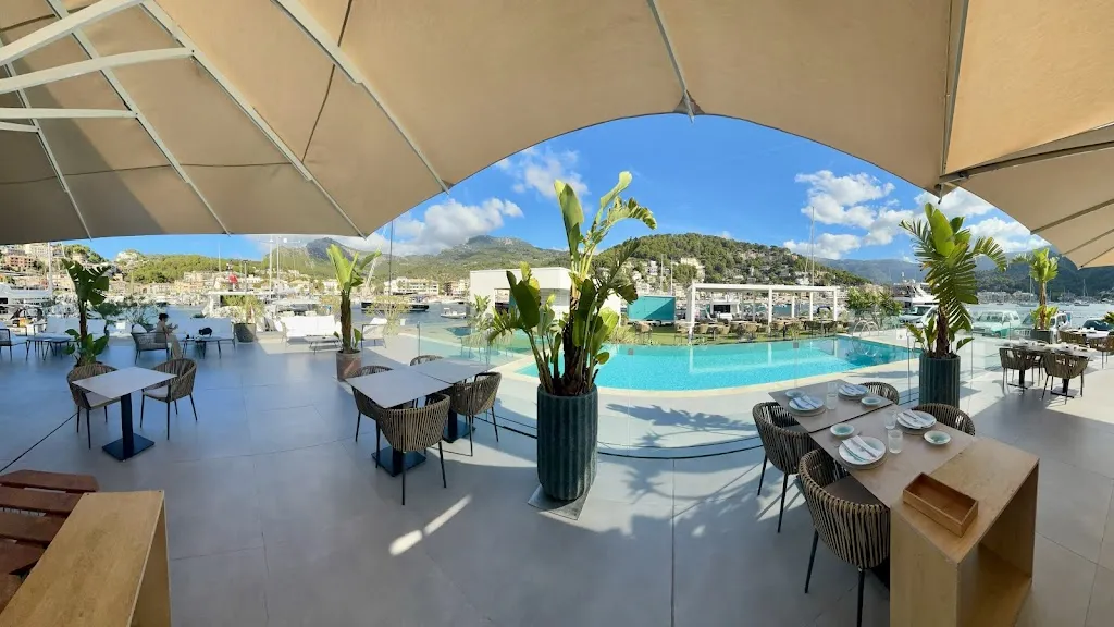 Alperen Tekin_Suculenta Port de Sóller_Port de Sóller_review