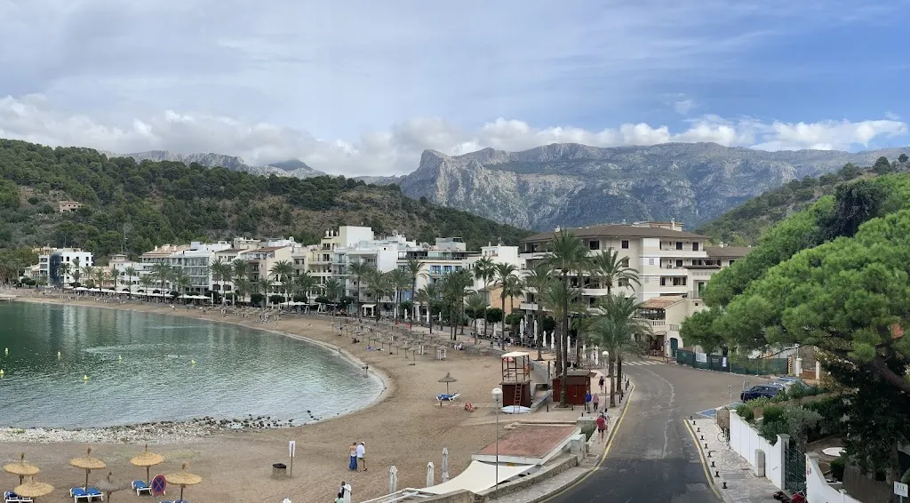 Scott Springer _Restaurante Verd Marí - Port de Sóller _Port de Sóller_review