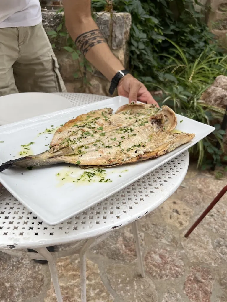 Hadi Arbabi_Villa Luisa Sóller_Port de Sóller_review