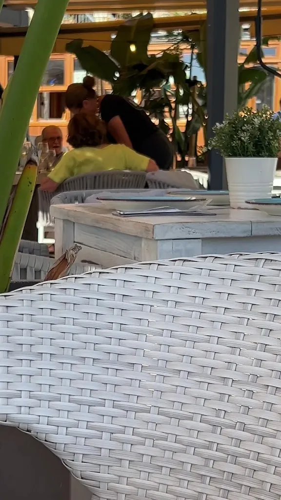 Margaret Elly_Moll_Port de Sóller_review