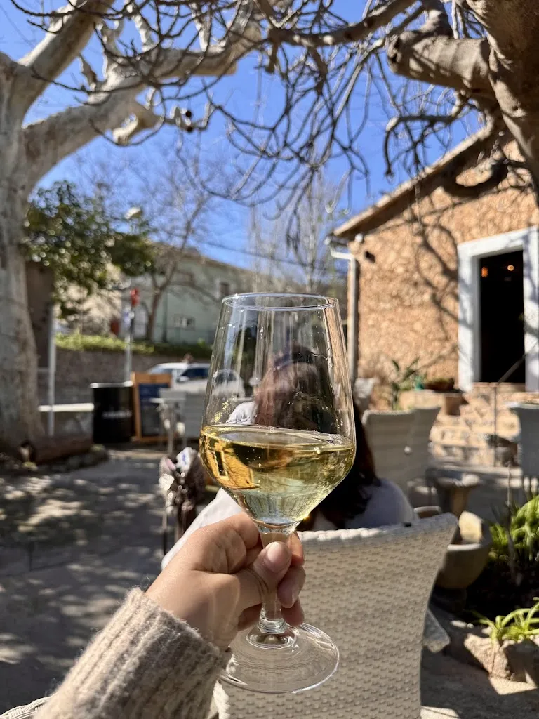 Shefali Saxena_Sa Frontera_Port de Sóller_recensione