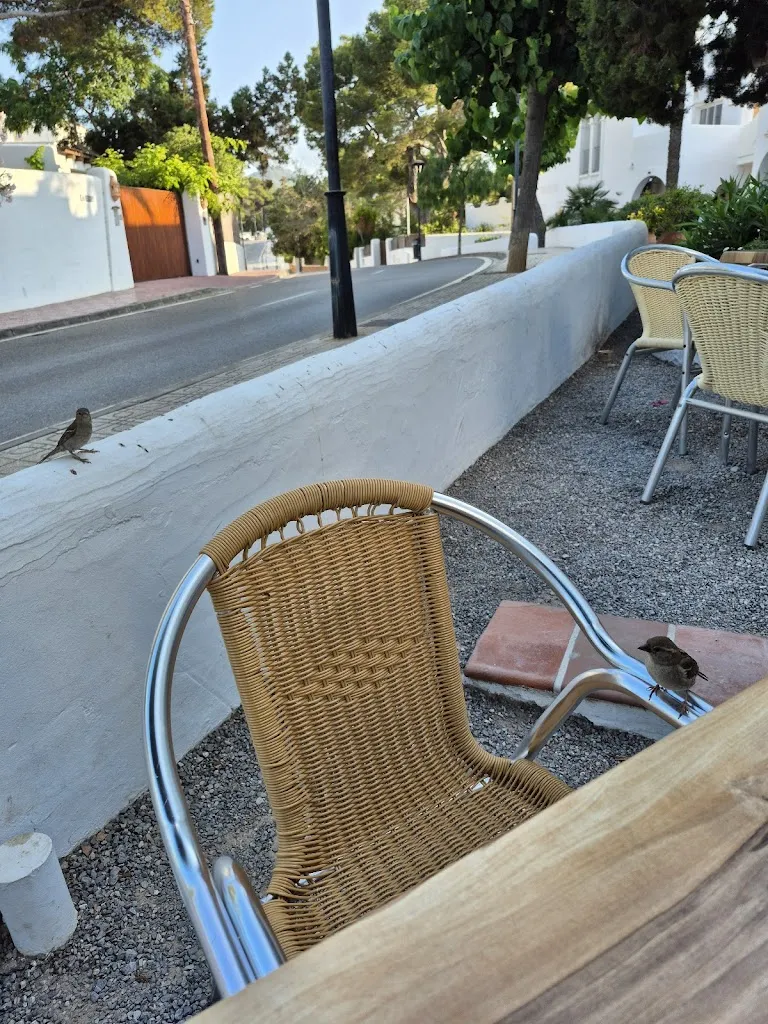 Tom Cavanagh_Can Beatrice_Sant Joan de Labritja_review