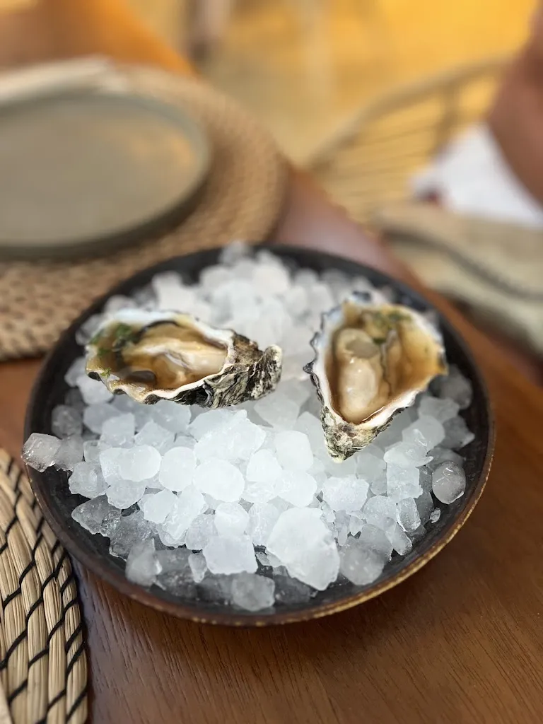 Robbert Marrink_Rebrots_Sant Joan de Labritja_review