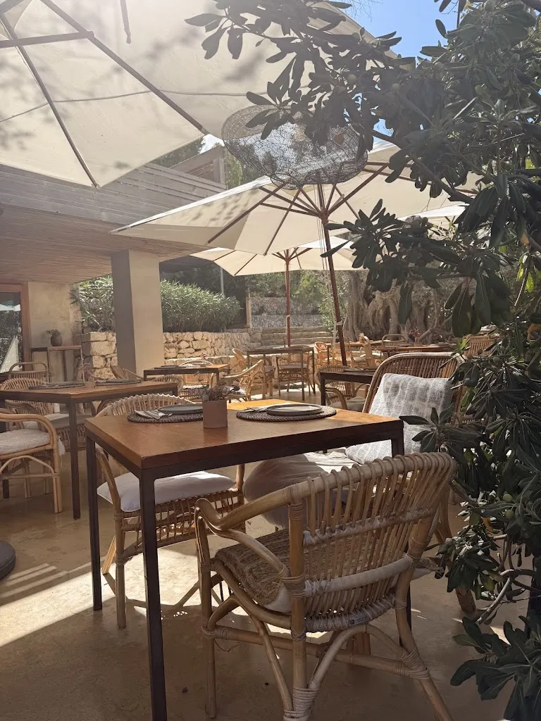 Rebrots_Sant Joan de Labritja_slider_image_3