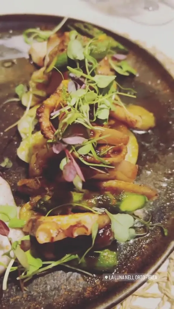 La Luna Nell' Orto_Sant Joan de Labritja_slider_image_2