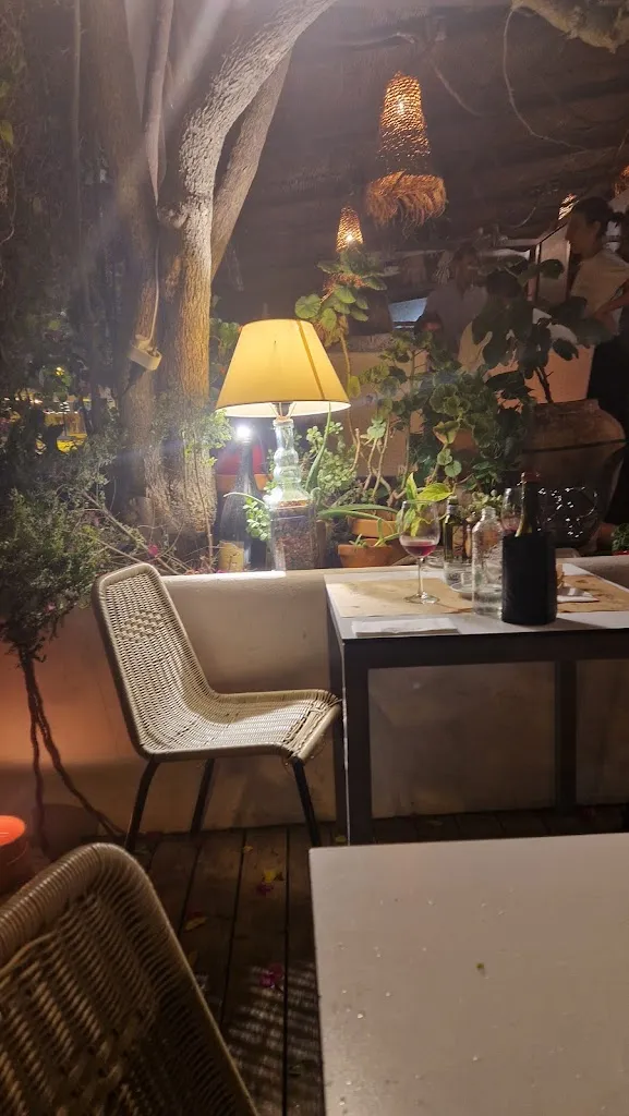 Léonie Gremillet-Roche_El Gioviale_Sant Francesc de Formentera_review