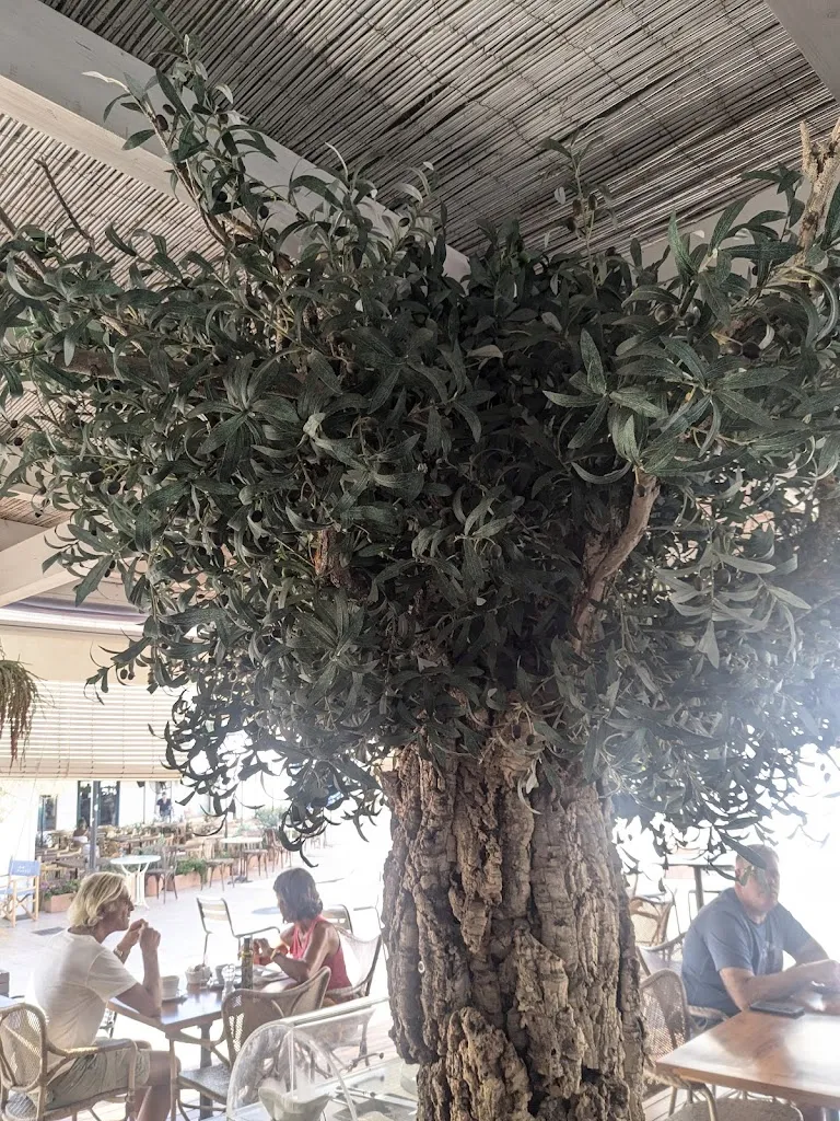 Gonzalo Jorajuría_Restaurant Es Marès_Sant Francesc de Formentera_review