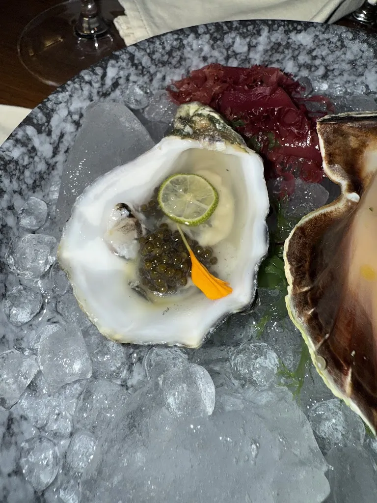 Farnoosh Shirali_Chezz Gerdi_Sant Francesc de Formentera_recensione