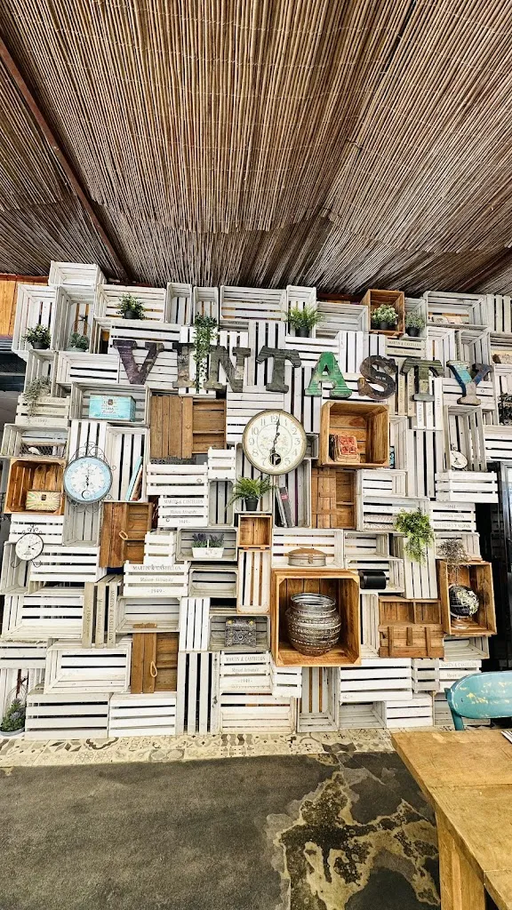 Vita Lukoseviciene_Vintasty_Porto Cristo_review