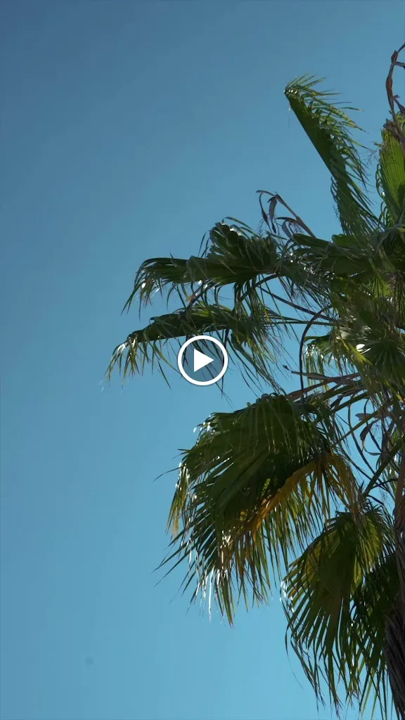 15Fifteen Cantina & Garden_Porto Cristo_slider_image_2