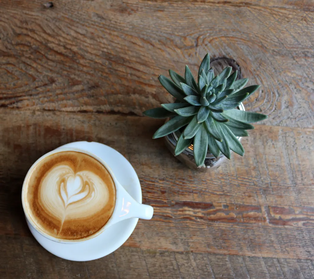 Longaeva_Arteixo_slider_image_2