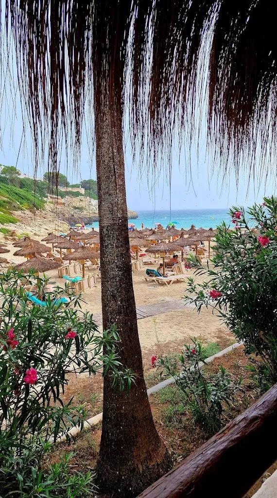 Dobrawa_Cala Anguila_Porto Cristo_review