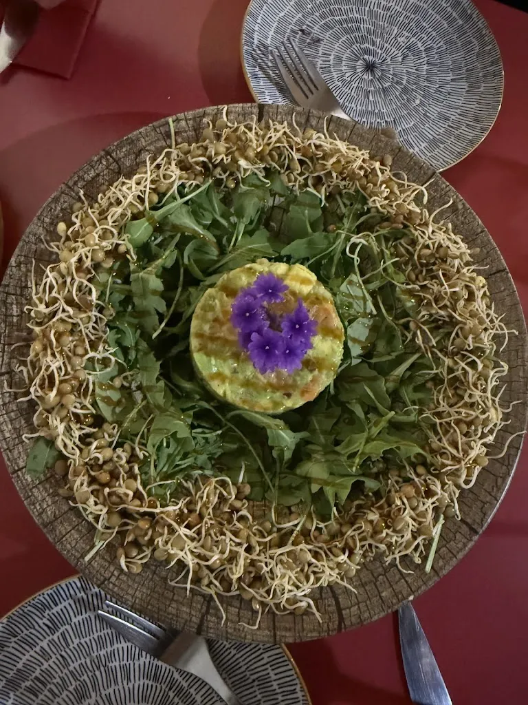 Rachael Hanley-Hine_Jungle Bistro Ibiza_Sant Antoni de Portmany_recensione