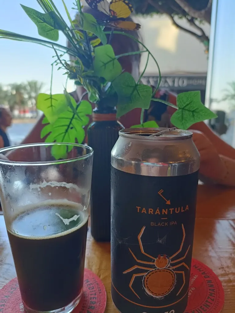 Menu_Project Social_Santa Eulalia del Río_image_6