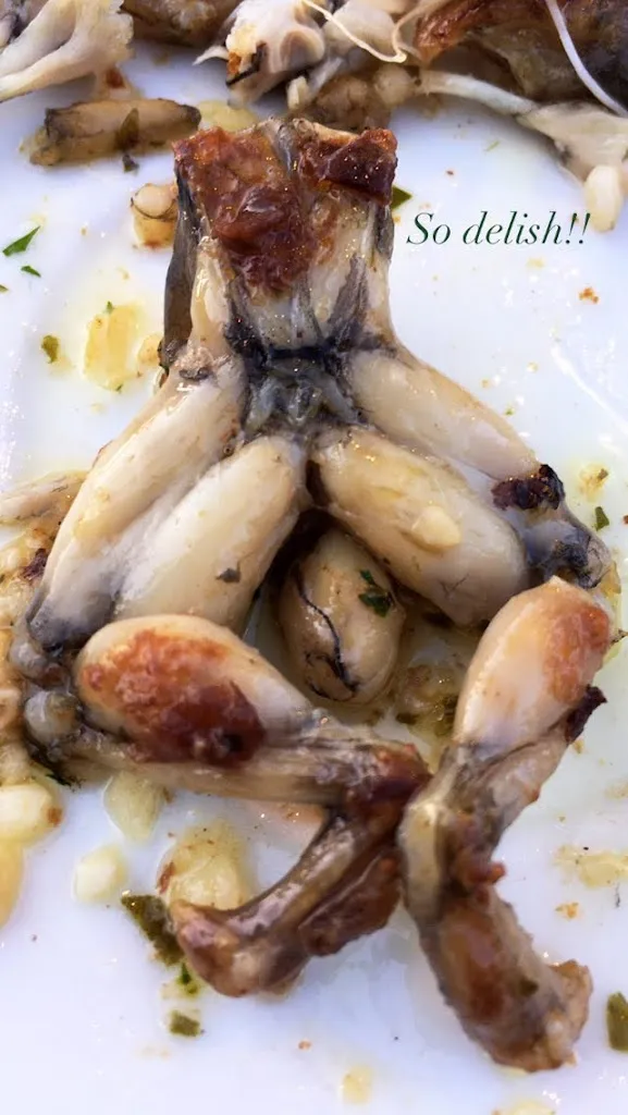 V Leon_Restaurant Sa Finca_Santa Eulària des Riu_review