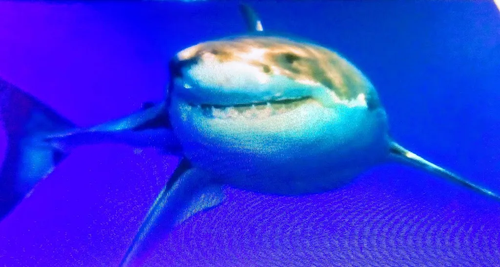 El Pirata_Cocentaina_slider_image_1