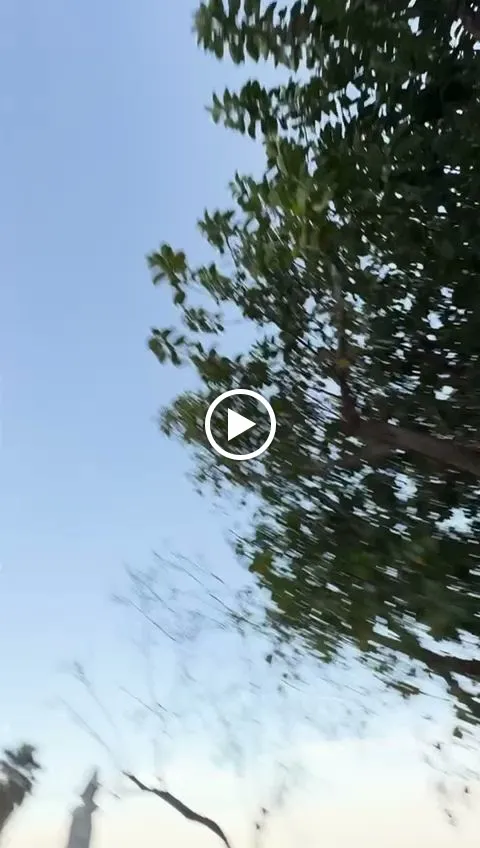 Indian Taj Tandoori Restaurant_Sant Llorenç des Cardassar_slider_image_2