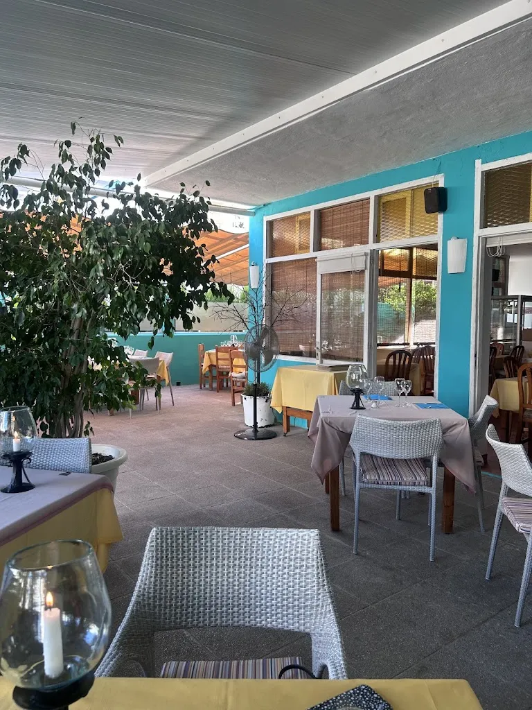 Dovis Dovis_Le Chiacchiere_Sant Llorenç des Cardassar_review