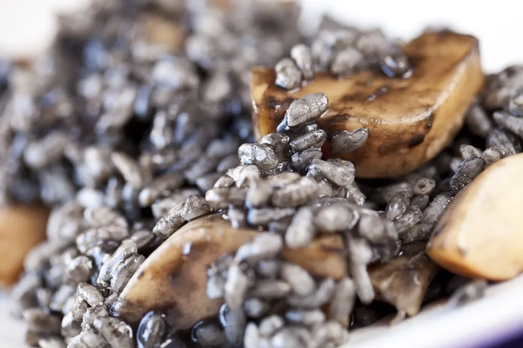 Menu_Bojos per la cuina_Santa María del Camí_image_6