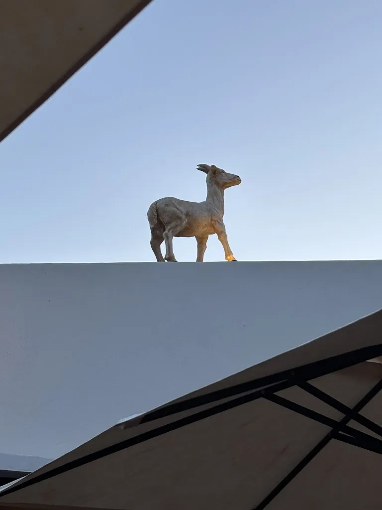 ANDREAS REIDOCK_Restaurante Cabra Blanca_Santa María del Camí_review