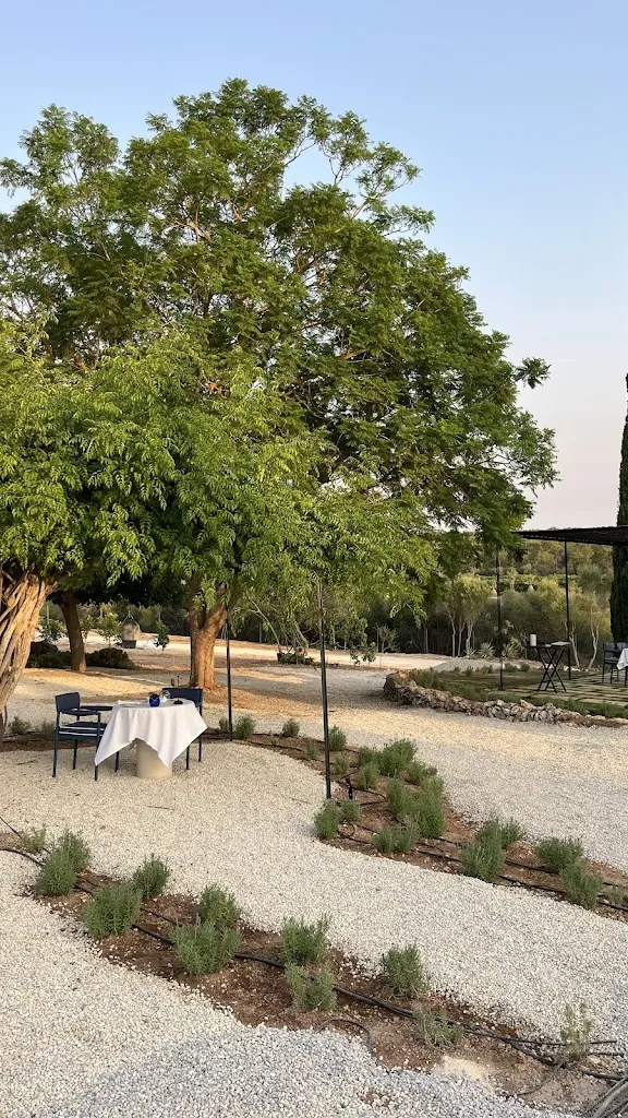 Sophia Scholl_RESTAURANTE SON XOTANO_Sencelles_review