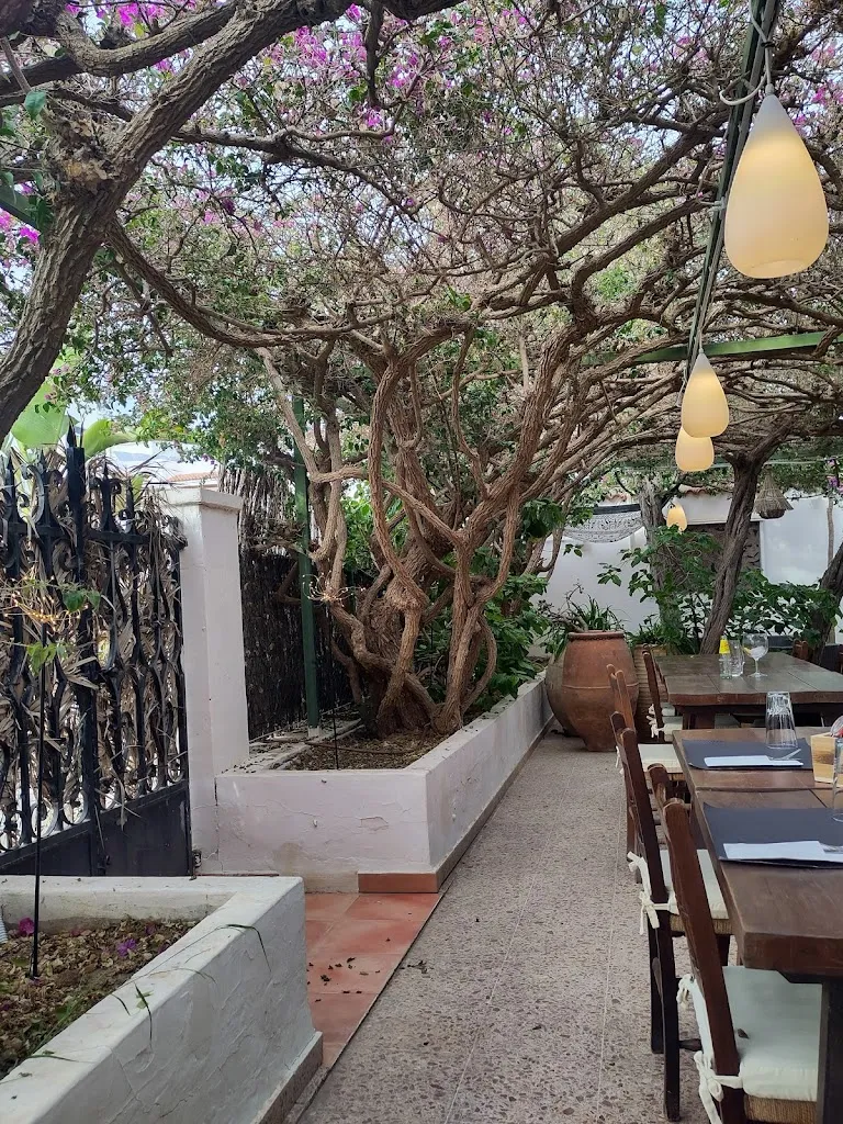 M. B._Restaurant Magon_Sant Josep de sa Talaia_review