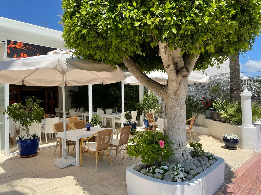 Pyrenees restaurant in Sant Josep de sa Talaia