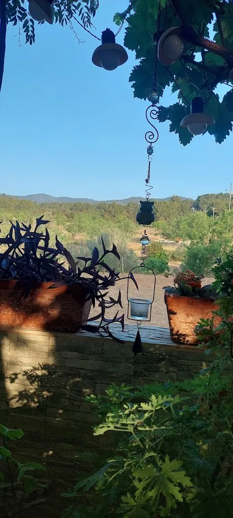 Suzanne B_Restaurant Sa Soca_Sant Josep de sa Talaia_recensione