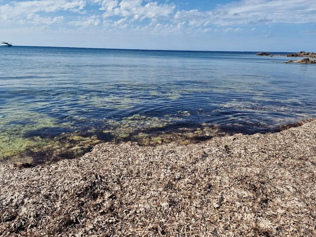 Littlejar Littlejar_Can Pujol_Sant Josep de sa Talaia_review