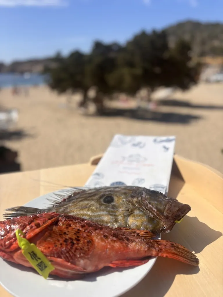 Restaurant María Luisa_Sant Josep de sa Talaia_slider_image_3