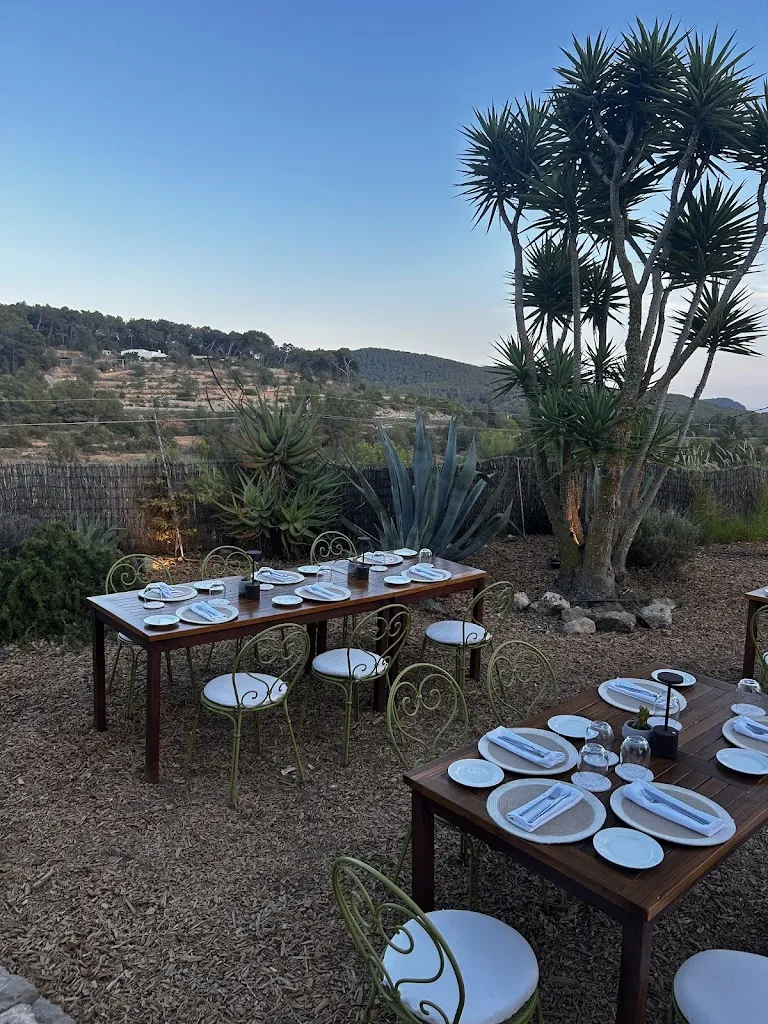 Ilya Motorygin_Ca'N Domingo De Can Botja_Sant Josep de sa Talaia_review