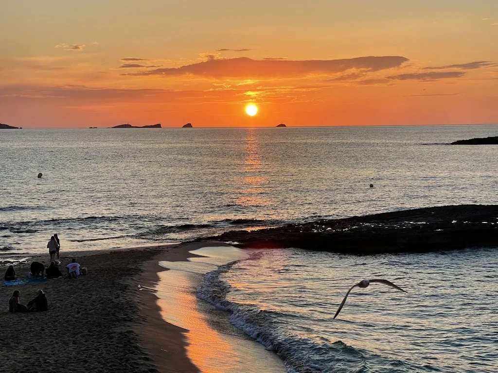 Chris A L_Sunset Ashram_Sant Josep de sa Talaia_review