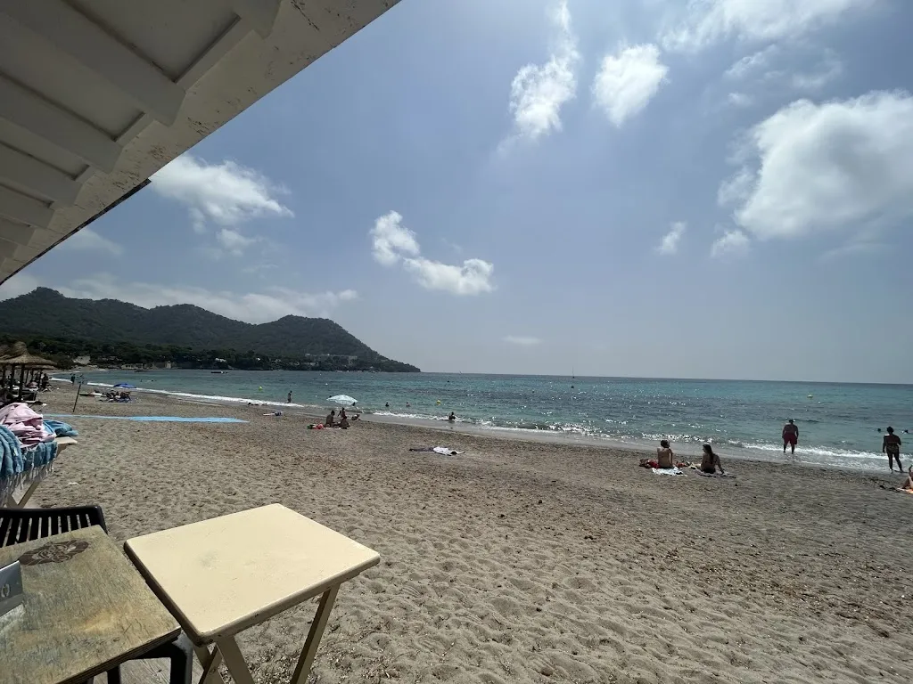 Hardy Steiner M._Bar Playa_Son Servera_review