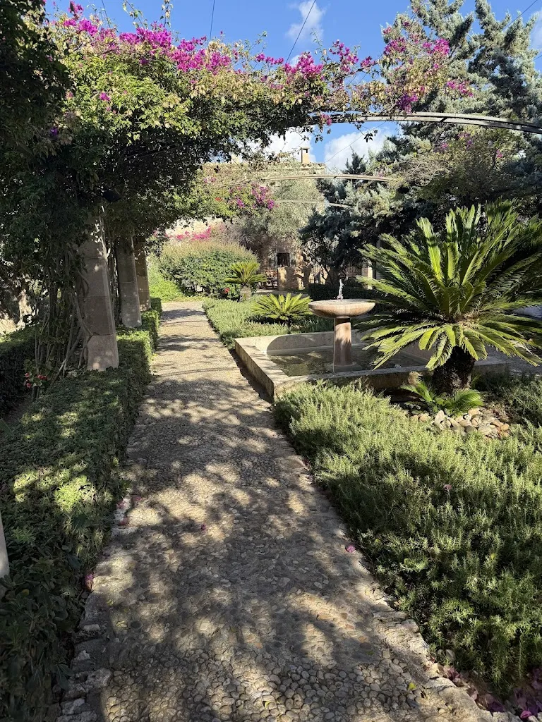 Tamas Feldman_Restaurant Cal Reiet's Table_Santanyí_review