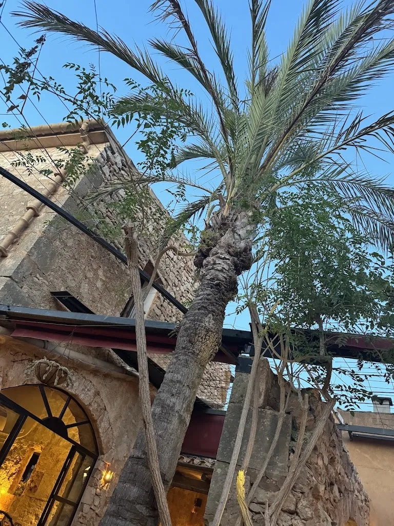 Robert Marița_Es Cantonet_Santanyí_review