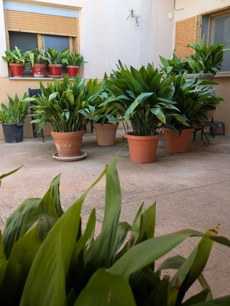 Restaurante El Puerto_Albanchez de Mágina_slider_image_3