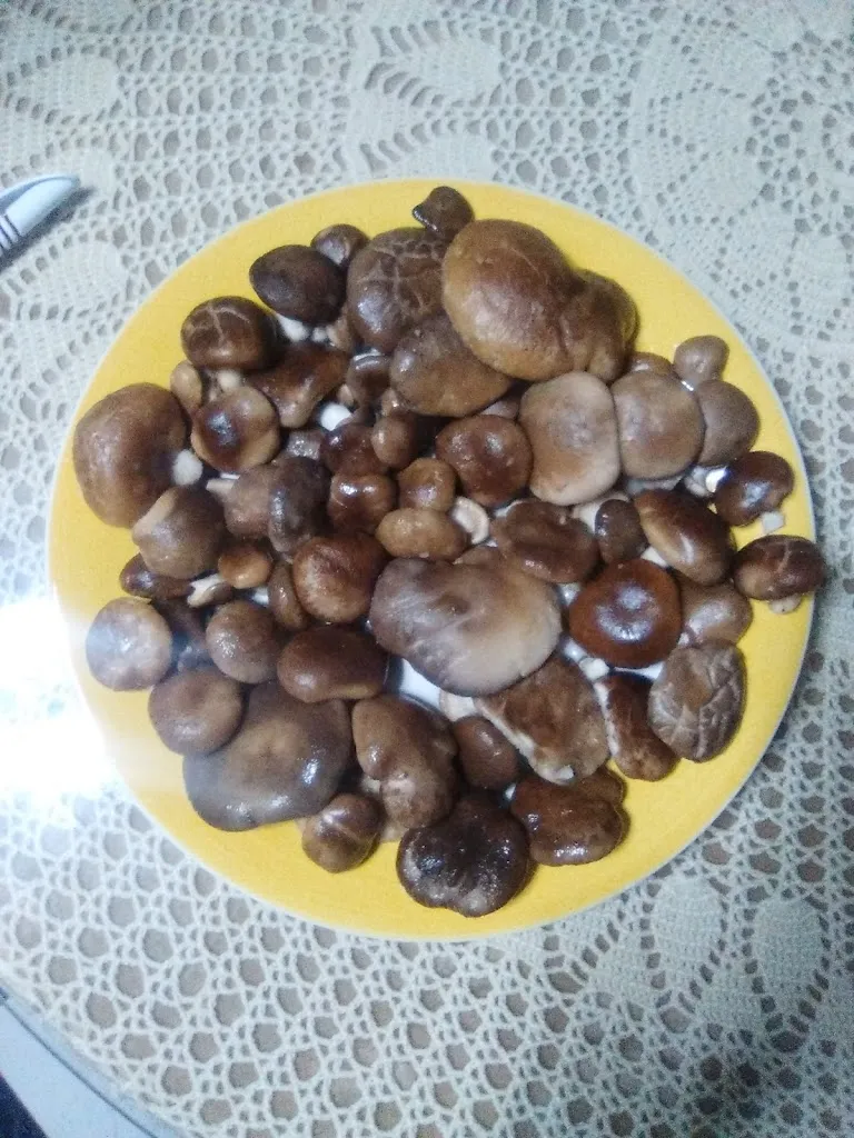 Menu_Restaurante SIERRA Magina_Albanchez de Mágina_image_6