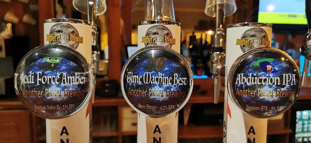 Menu_The Dog & Firkin Traditional Pub_Catral_image_6