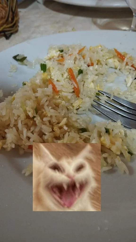 Farah El fechtali_Dragon Sineu_Sineu_review