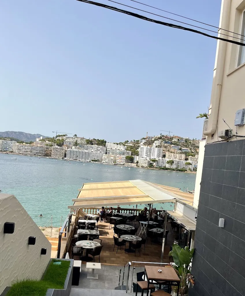 Maria Vidal-Read_Mercader del Mar_Santa Ponsa_review