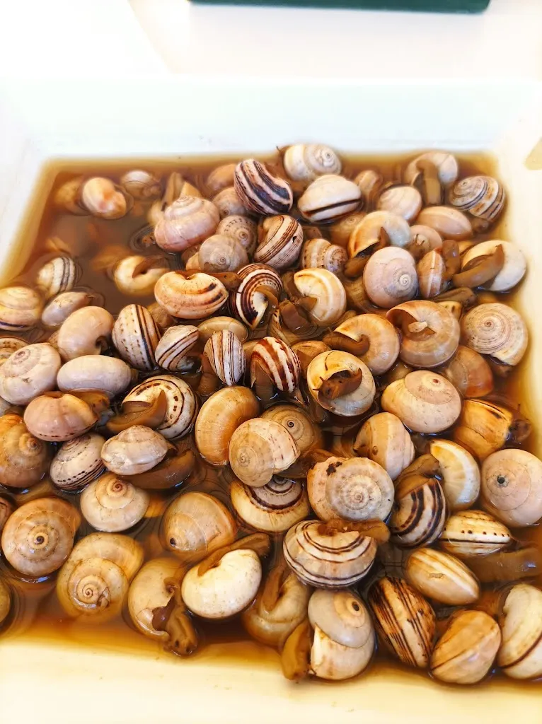 Menu_Restaurante Navarrete_Baeza_image_5