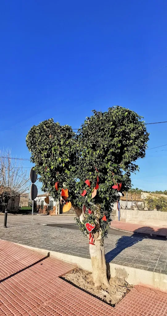 Bar La Cruz_Catral_slider_image_2