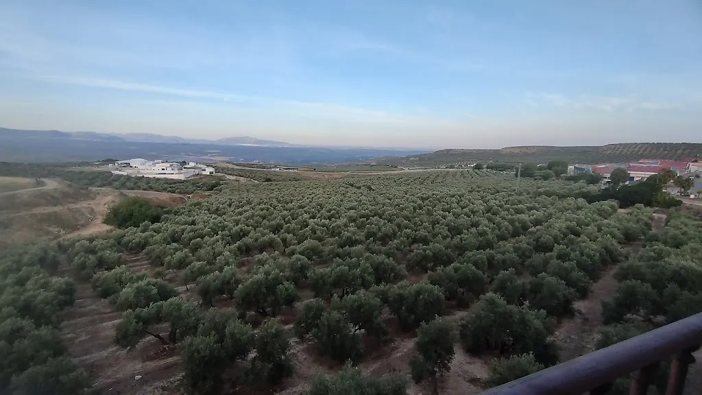 Natalia Marecos_Terraza Campos de Baeza_Baeza_review