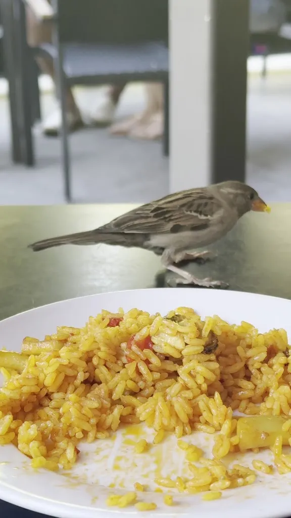 El Anciano Rey de los Vinos_Bailén_slider_image_2