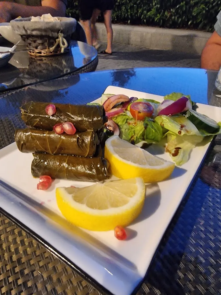 El-Amine BENSALAH_Sol de Beirut Palacio Madrid_Bailén_review