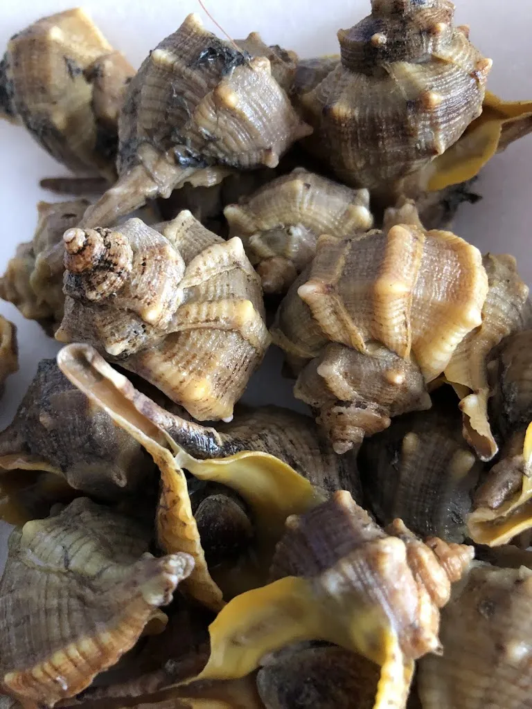 Pescados y Mariscos GALMA S.L._Bailén_slider_image_2